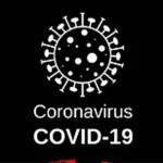 Work From Home in Coronavirus