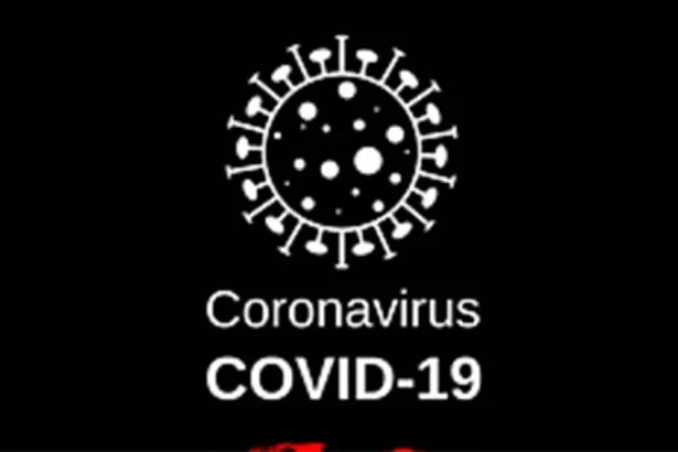 Work From Home in Coronavirus