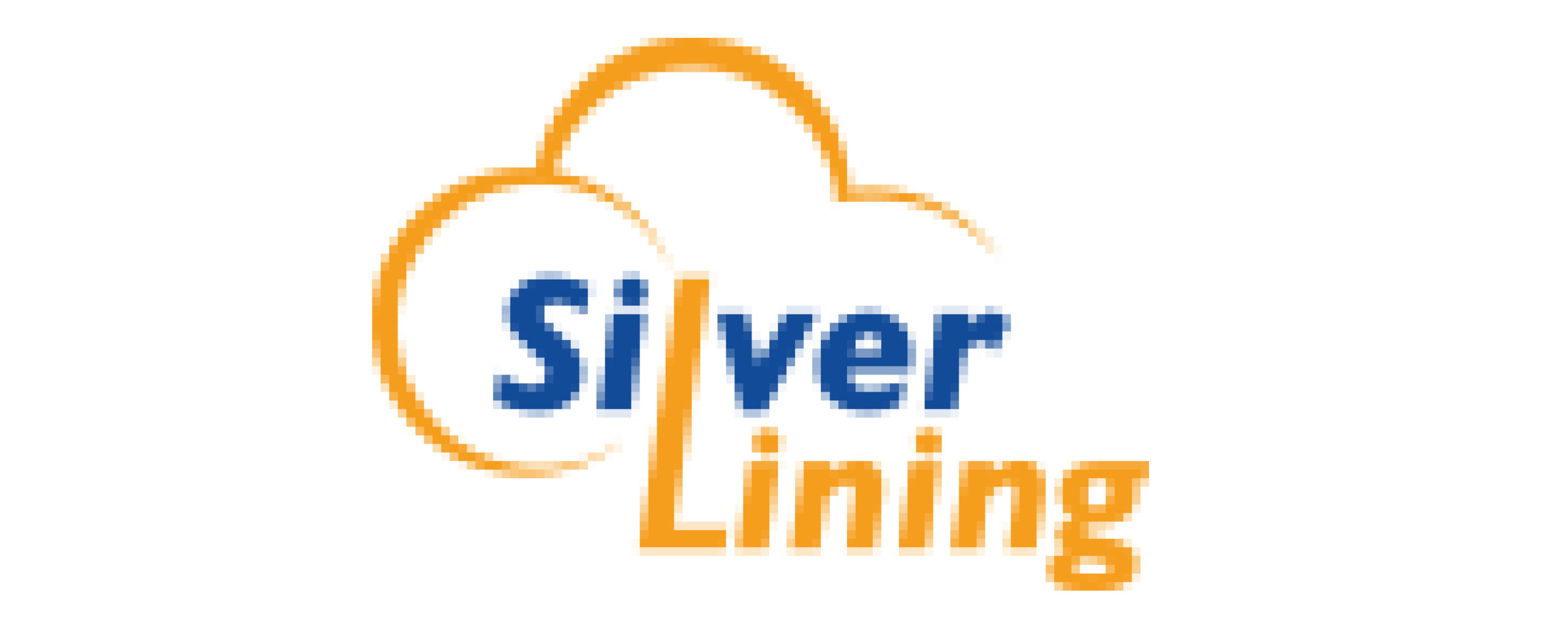 Silver Lining Information Technology