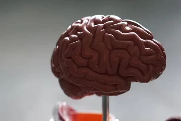 3 Types of Traumatic Brain Injuries You Should Know About 1