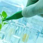 Solutions of biotechnology
