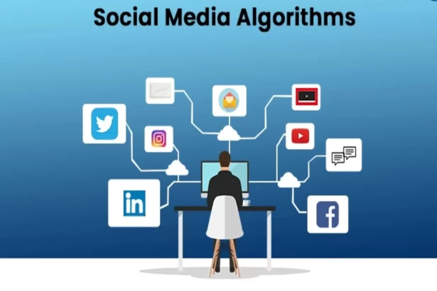 Social Media Algorithms