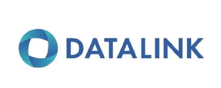 DataLink Software, LLC