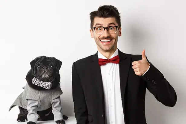 How Arizonas Laws Keep Pets Safe Public Spaces Workplaces and Legal Rights