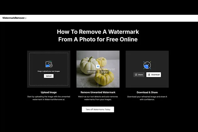 WatermarkRemover Review 1