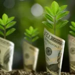 Greenwashing in Sustainable Investing