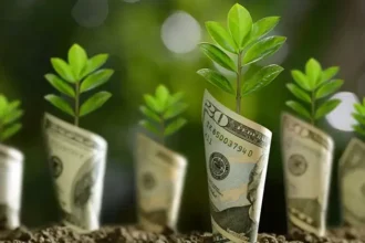 Greenwashing in Sustainable Investing