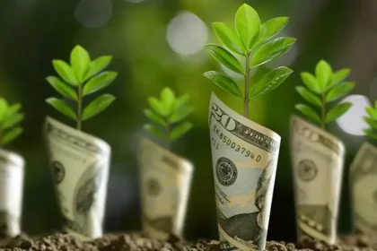 Greenwashing in Sustainable Investing