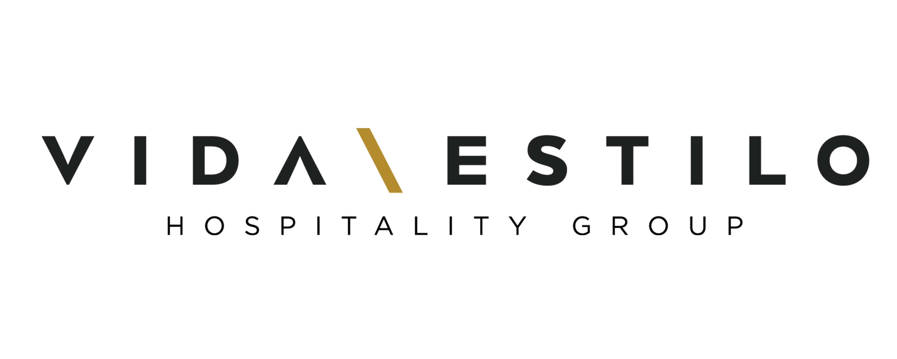 VE Hospitality Group