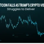 Bitcoin market decline chart