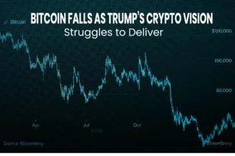 Bitcoin market decline chart