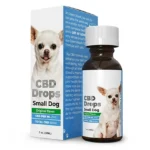 A Beginner’s Guide to CBD Drops for Dogs Anxiety