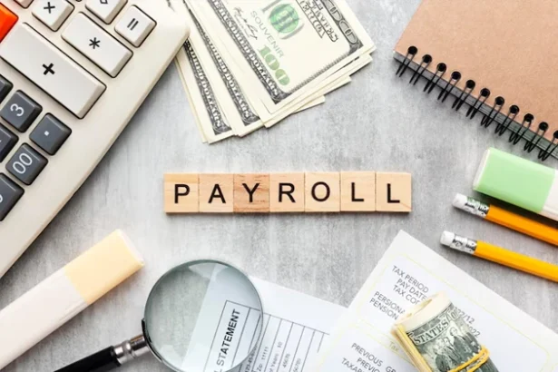 Payroll software integration