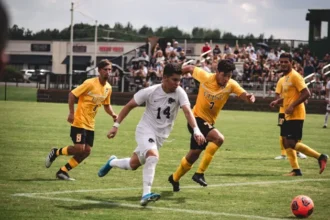 Risky Business How Regulated Football Betting Platforms Are Winning User Trust