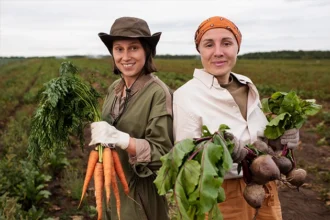 How Data Driven Insights Can Help Australian Farmers Thrive in a Changing Climate