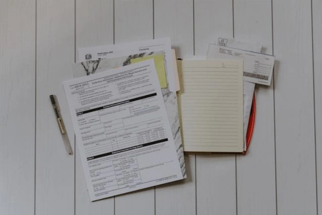 Constant Audits and Stunted Growth