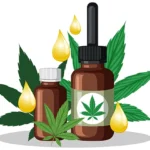 How To Select Pre Roll Packaging That Enhances Product Freshness and Quality