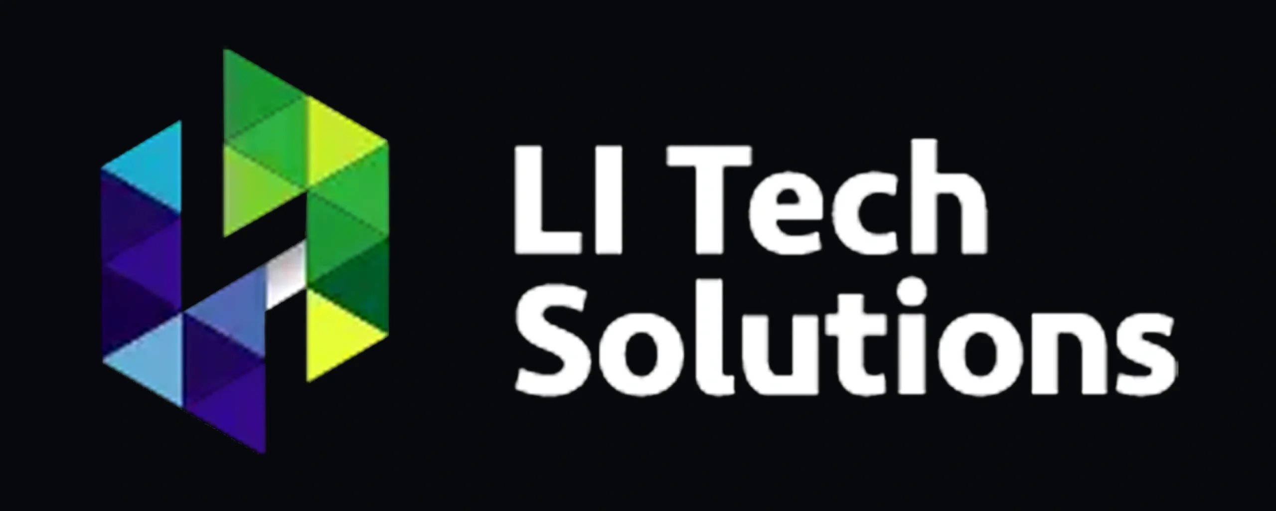 LI Tech Solutions