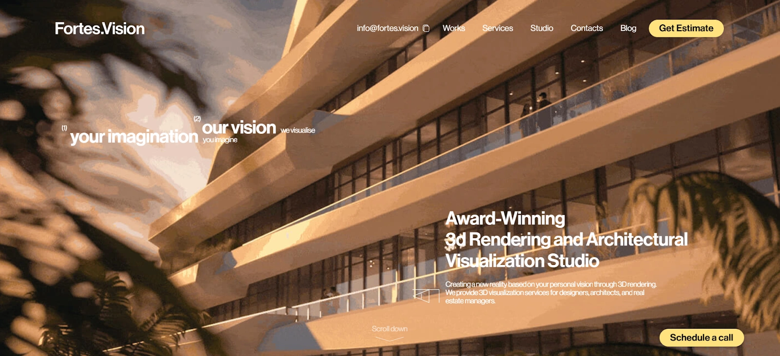 Fortes Vision Fortes Vision