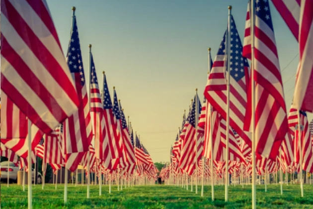 James Paterek and Millbrook Honors Veterans Day