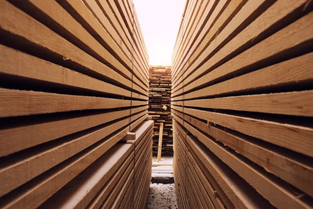 Why Your Timber Cladding Choices Matter for Reseller Value