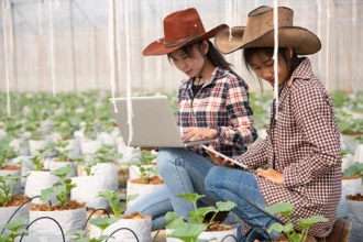 Financial Solutions for Today’s Agricultural Producers