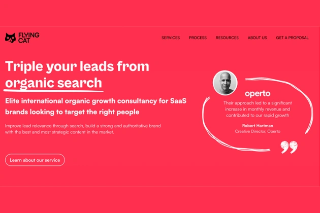 Flying Cat Marketing Flying Cat Marketing