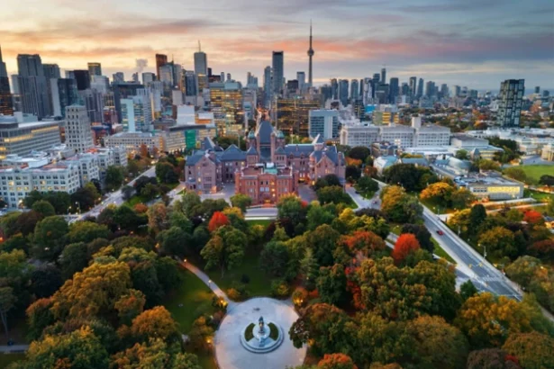 From Side Income to Full Time Business