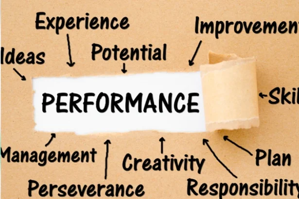 Why Bio Optimized Nutrition Is the Secret for Peak Performance