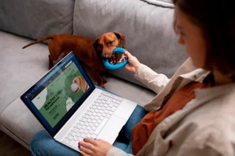 Florida Pet Insurance Compliance Trends Affecting Consumers