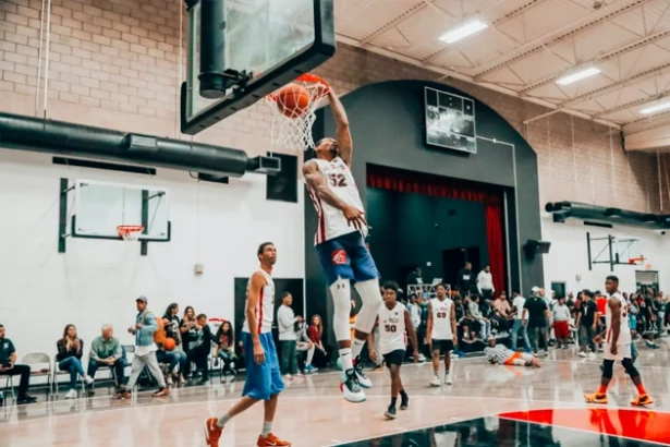 The Business of Global Sports Organizations