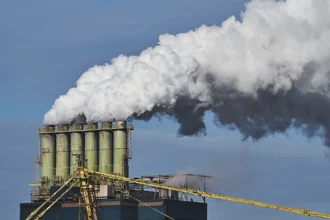 AI Pricing in Energy Markets