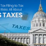 IRS tax filing and audit process