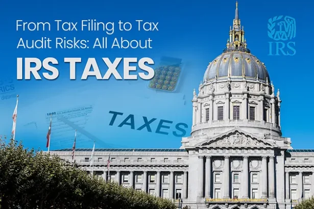 IRS tax filing and audit process