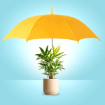 Best Hired Out Plant Insurance