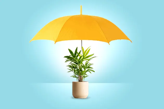 Best Hired Out Plant Insurance