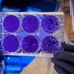 Crisis or Just a Risk Evaluating