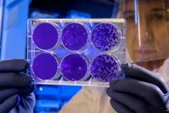 Crisis or Just a Risk Evaluating