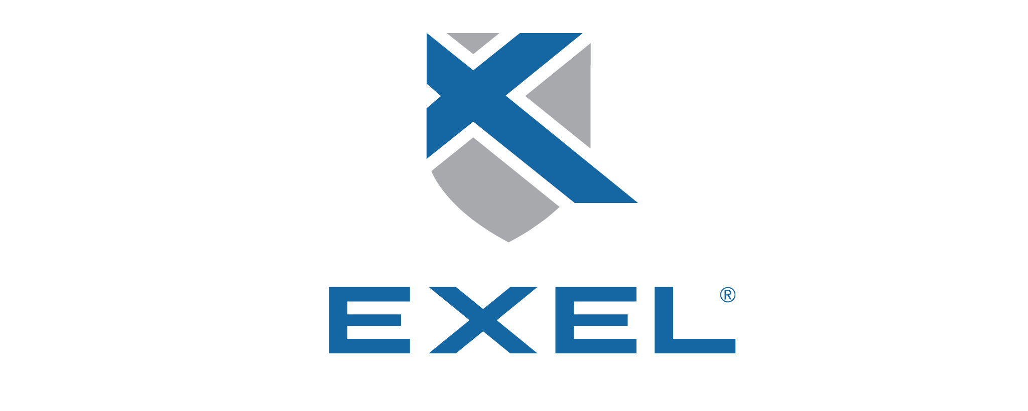 Exel Computer Systems plc