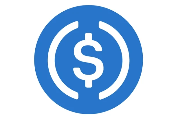 Understanding Agentic Finance and the Role of Circle as a Settlement Infrastructure