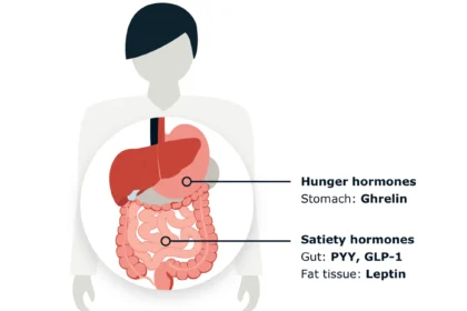 Gut Hormones and Appetite Regulation